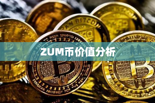 ZUM币价值分析