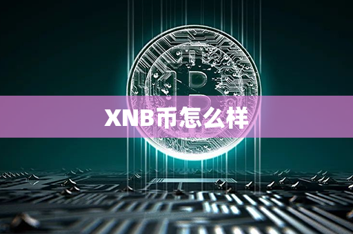 XNB币怎么样第1张-币动态