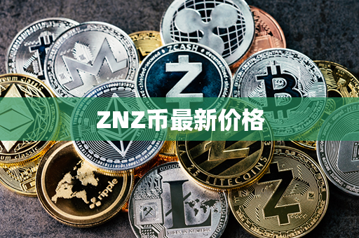 ZNZ币最新价格第1张-币动态