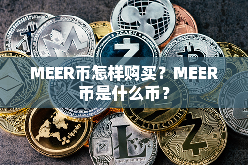 MEER币怎样购买？MEER币是什么币？