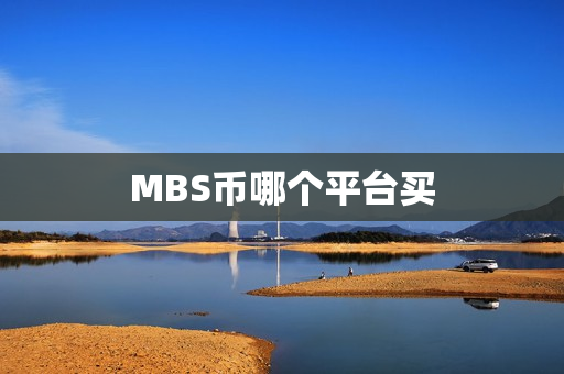 MBS币哪个平台买