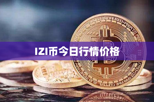 IZI币今日行情价格第1张-币动态