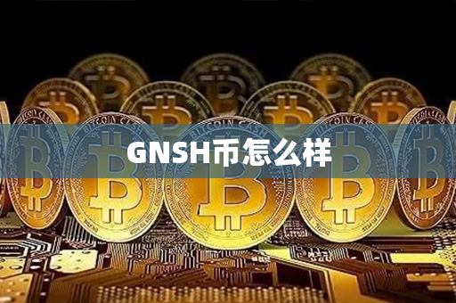 GNSH币怎么样第1张-币动态