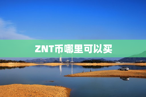 ZNT币哪里可以买第1张-币动态