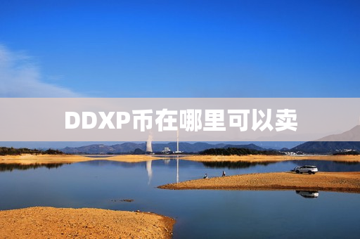 DDXP币在哪里可以卖第1张-币动态