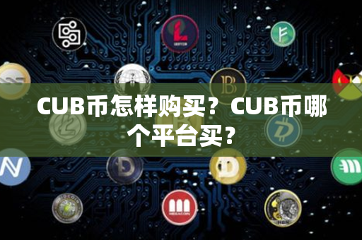 CUB币怎样购买？CUB币哪个平台买？