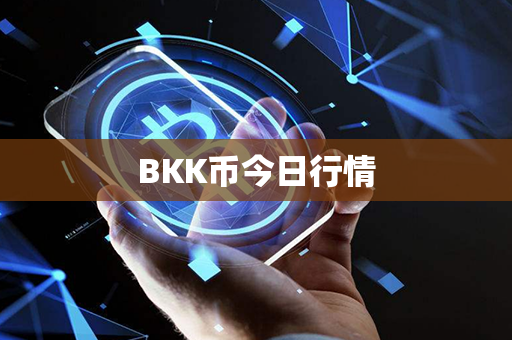 BKK币今日行情第1张-币动态