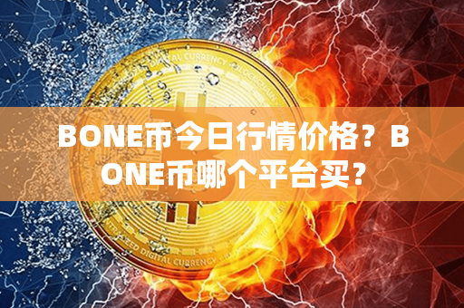 BONE币今日行情价格？BONE币哪个平台买？第1张-币动态