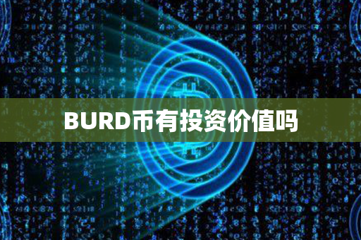 BURD币有投资价值吗