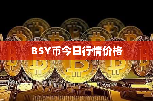 BSY币今日行情价格