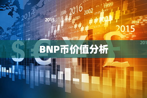 BNP币价值分析