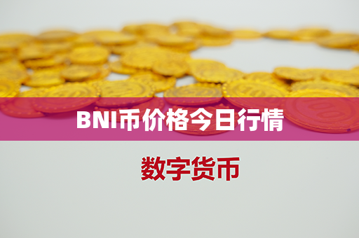 BNI币价格今日行情