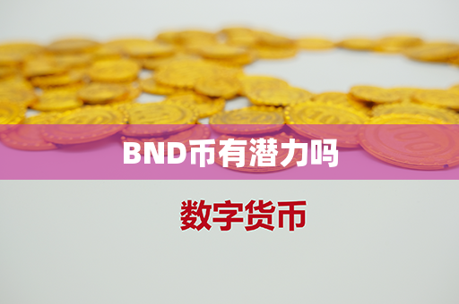 BND币有潜力吗