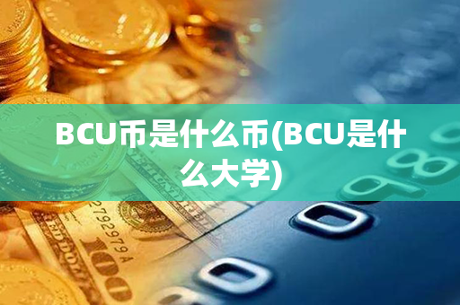 BCU币是什么币(BCU是什么大学)