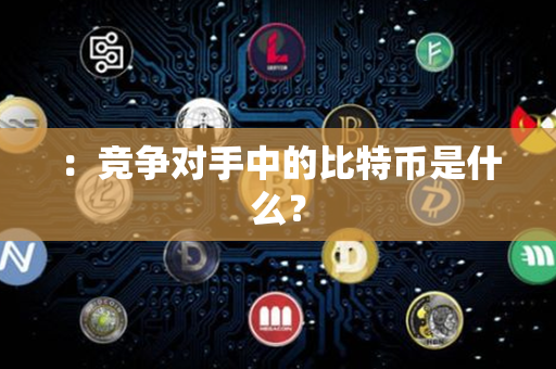 ：竞争对手中的比特币是什么？