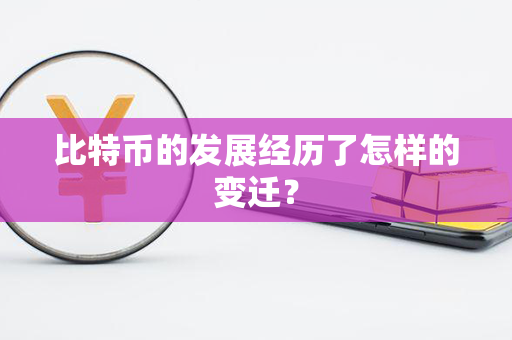 比特币的发展经历了怎样的变迁？