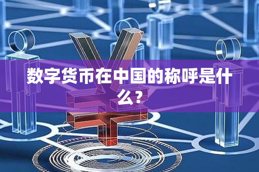 数字货币在中国的称呼是什么？