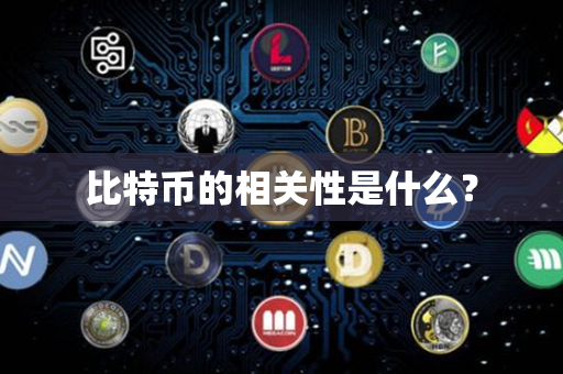 比特币的相关性是什么？