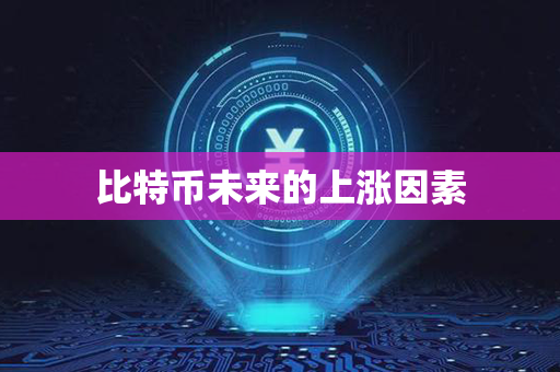 比特币未来的上涨因素