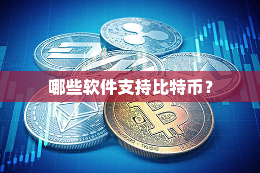 哪些软件支持比特币？