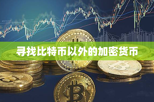 寻找比特币以外的加密货币