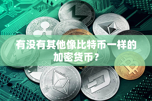 有没有其他像比特币一样的加密货币？