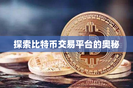 探索比特币交易平台的奥秘第1张-币动态