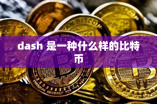 dash 是一种什么样的比特币