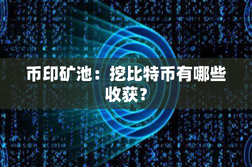 币印矿池：挖比特币有哪些收获？第1张-币动态