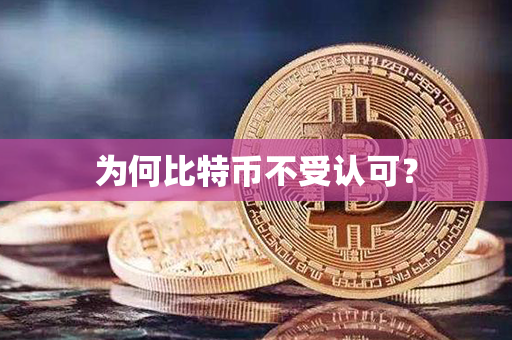 为何比特币不受认可？