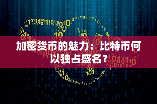 加密货币的魅力：比特币何以独占盛名？第1张-币动态