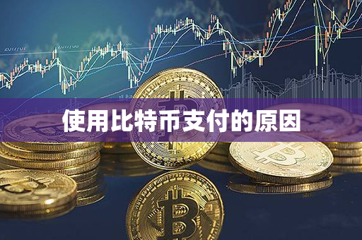 使用比特币支付的原因